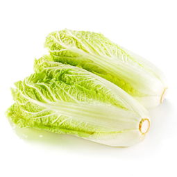 <b>娃娃菜和大白菜有什么区别</b>