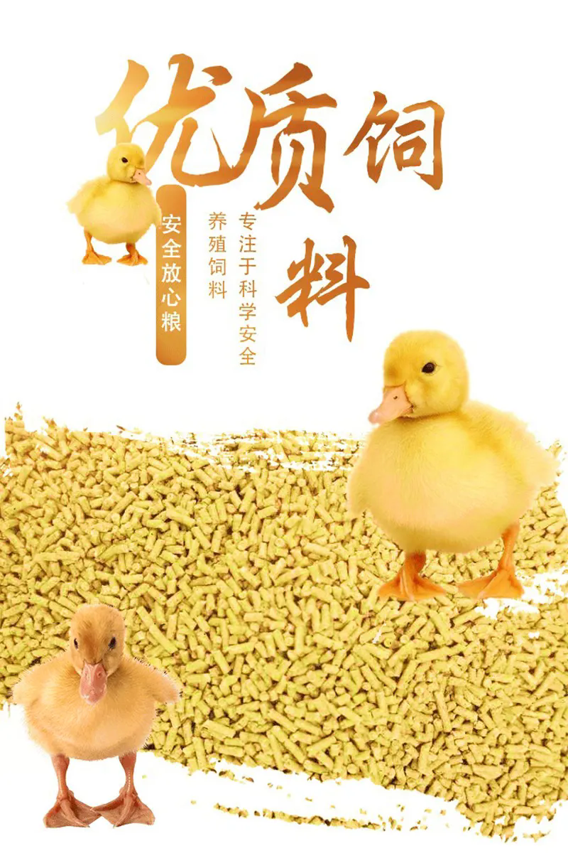 <strong>家禽养殖饲料健康配比和营养调控方案分享</strong>