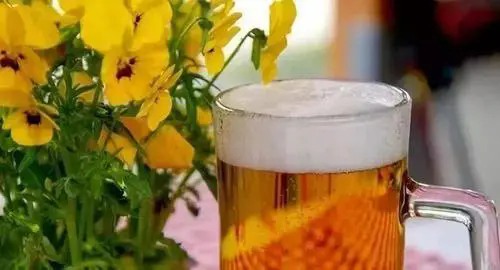 <strong>啤酒是最好的养花肥料-用啤酒浇花的好处有哪些</strong>