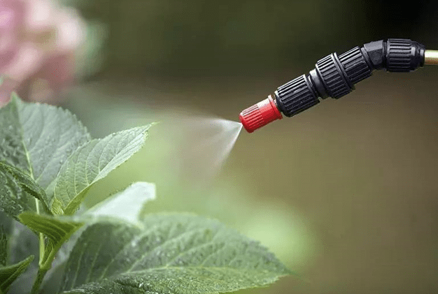 <strong>植物叶面喷施尿素的作用和喷洒技巧方法</strong>
