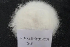 <strong>深度解析钾肥对农作物的作用及正确使用方法</strong>