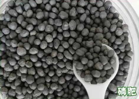 农用肥料大揭秘!有机肥与磷肥能否混用?