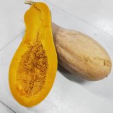<b>南瓜不同品种能种好的技巧</b>