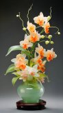 <b>蝴蝶兰家庭种植中避免烂根现象</b>