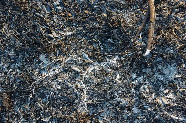 草木灰-隐藏的钾肥宝藏,神奇的自然馈赠