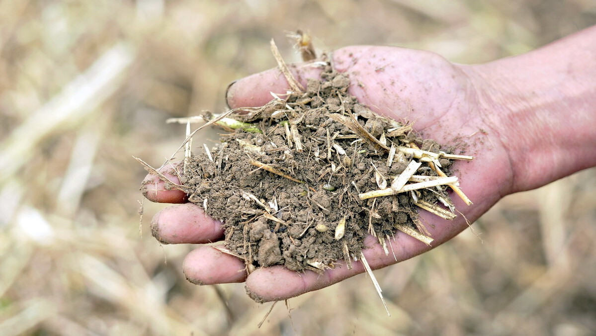 绿色循环新典范:稻草还田激活土壤生命力