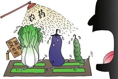 绿色农业新课堂:农药安全间隔期,保障食品安全的科学法则
