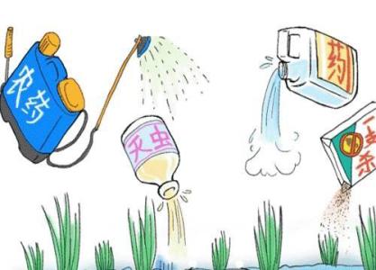 绿色农业新课堂:农药安全间隔期,保障食品安全的科学法则
