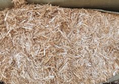 <b>小麦秸秆变身超级饲料，氨化处理让营养翻倍！</b>