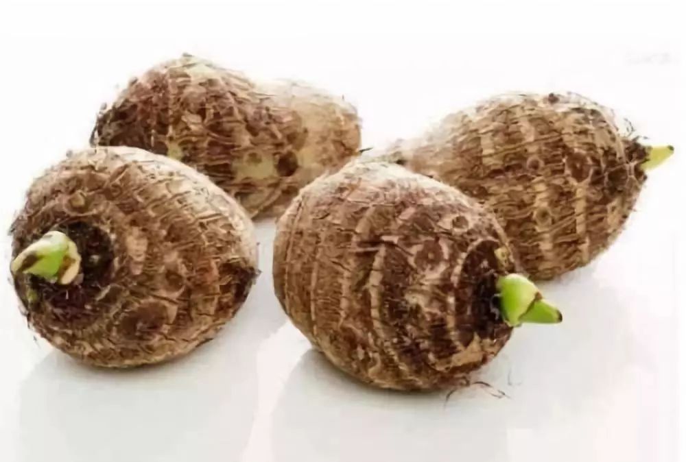 <b>芋头发芽了还能吃吗？专家解答安全食用指南</b>