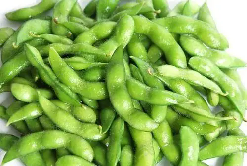 <b>豆界揭秘-毛豆VS黄豆：本是同根生的营养美食</b>