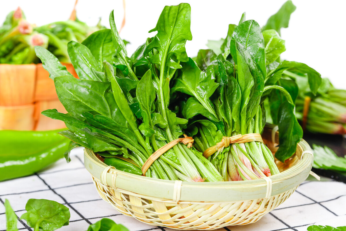 <b>菠菜-绿色营养的超级英雄，揭秘健康功效与膳食价值</b>