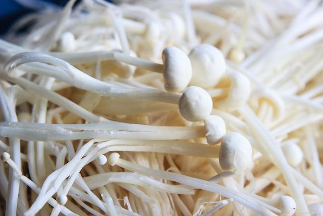 <strong>金针菇：美味背后的科学真相，有毒传言大起底！</strong>