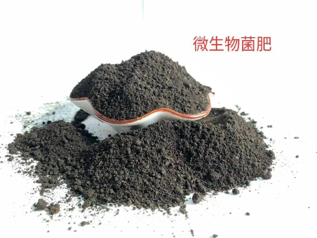 菌肥-活化土地的秘密武器,提升作物品质的秘密!