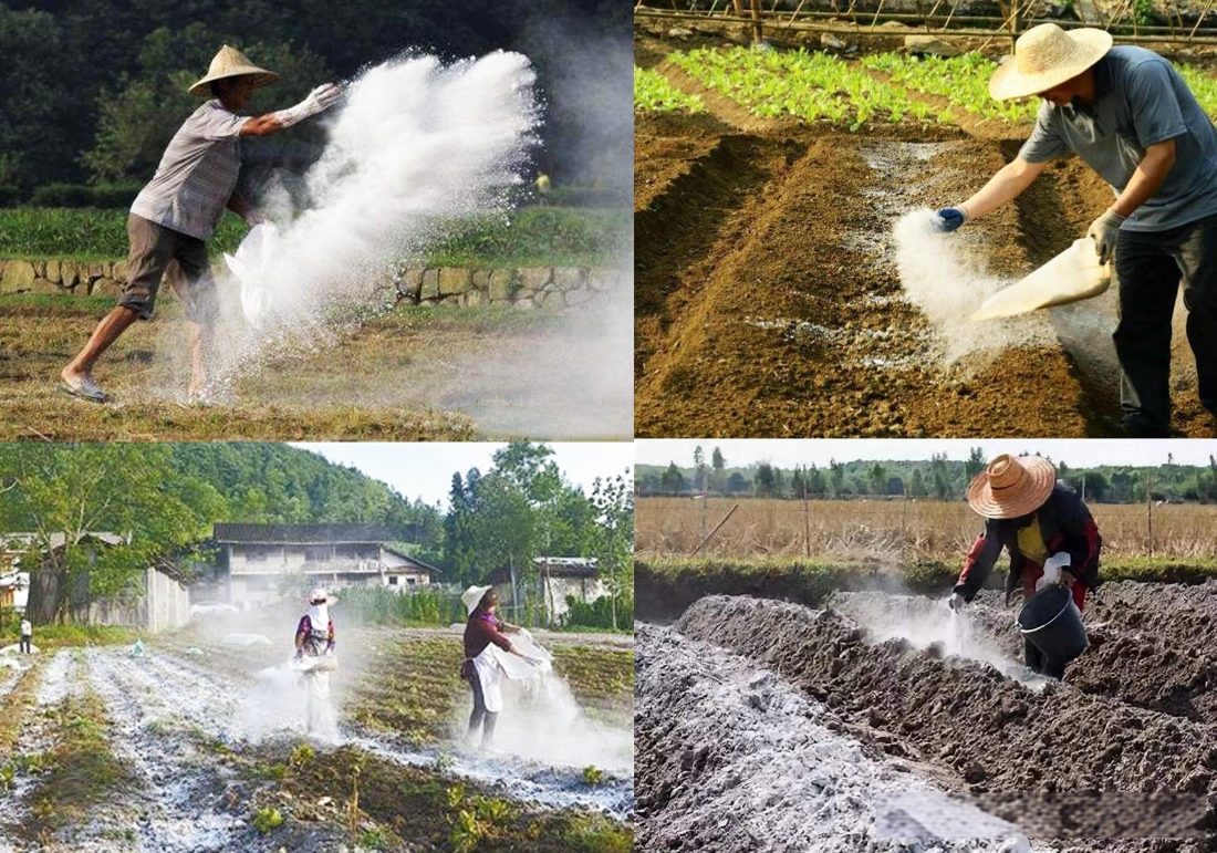 揭秘石灰乳剂在农业种植中的神奇作用:调节土壤酸碱、防治病虫、增产提质
