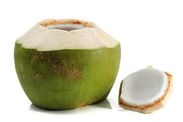 <b>椰子属性大揭秘：是清凉解暑还是温补佳品？</b>