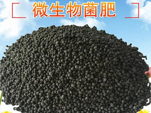 告别化肥依赖,拥抱有机基质肥料的绿色农业新风尚