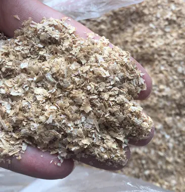 小麦-饲料原料中的全能战士,提升畜禽养殖效益秘密武器!