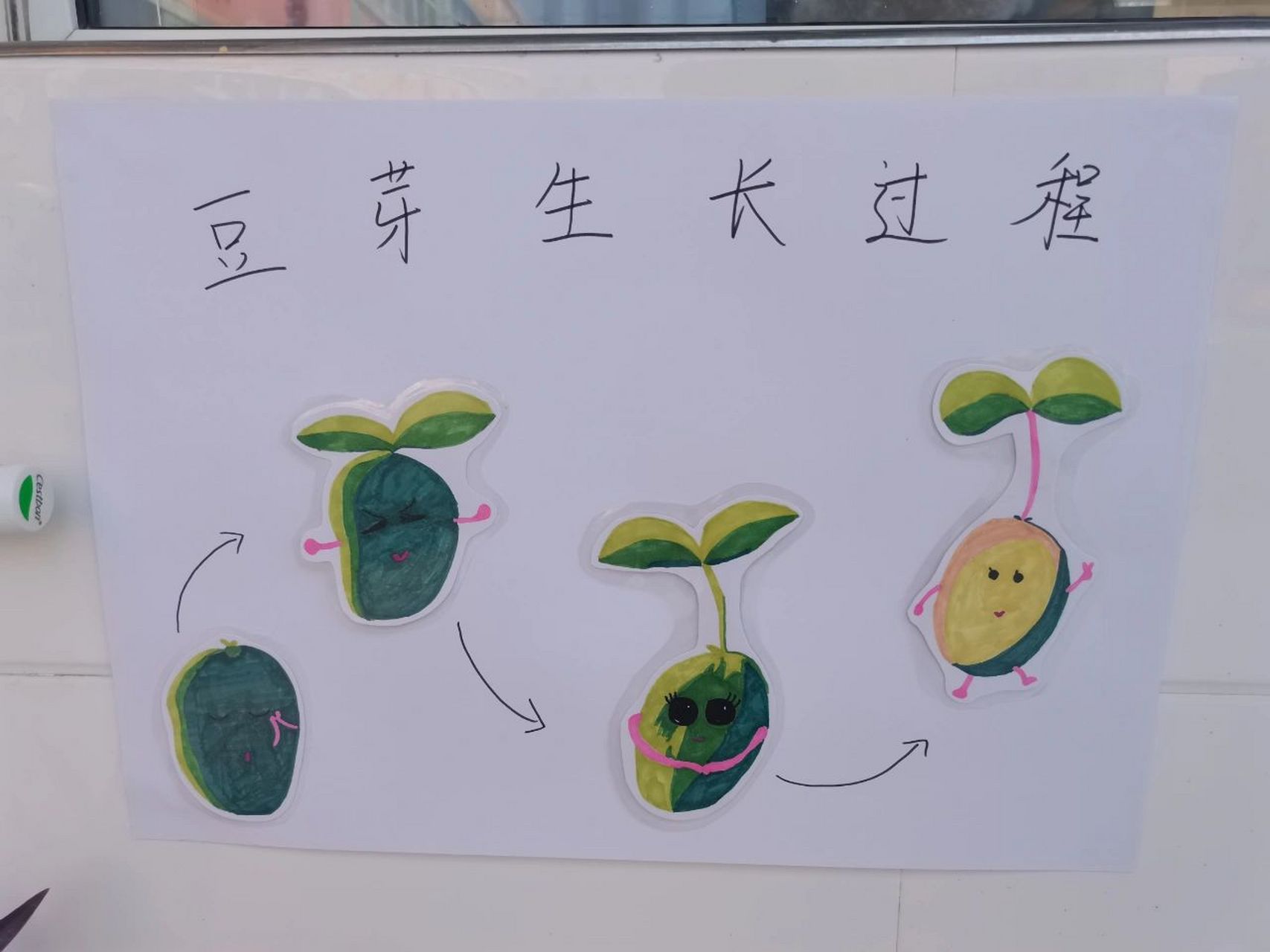 豆芽DIY全攻略,家庭3天速成自制豆芽全攻略!