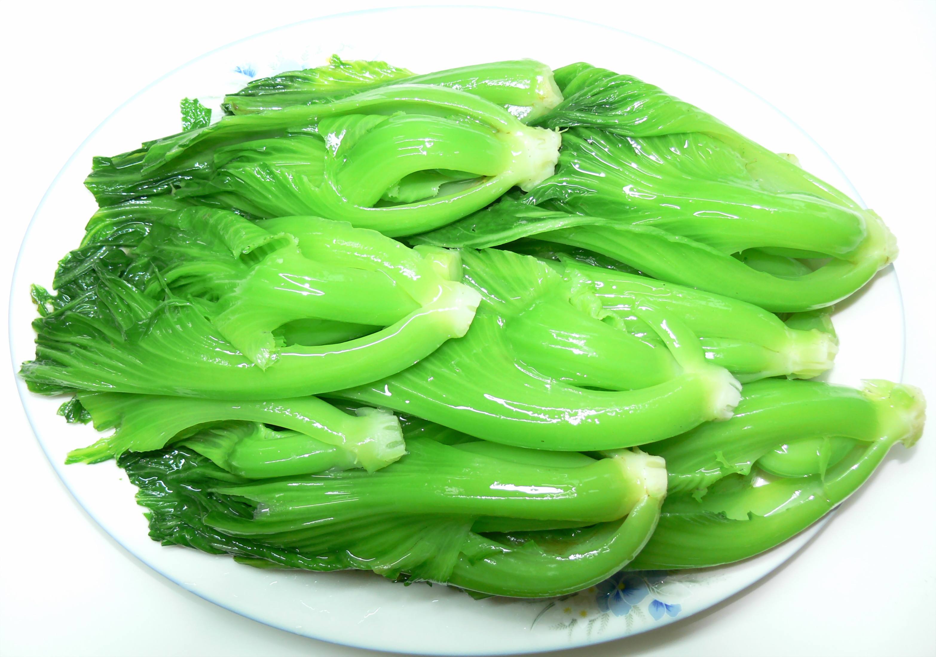 芥菜外观样子详解:锯齿边缘的叶片,紧凑的生长结构!