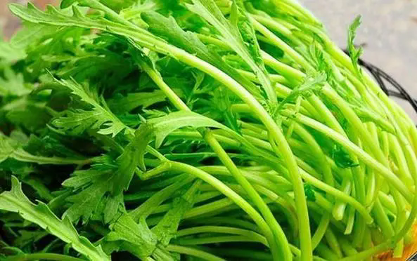 <b>茼蒿生吃vs熟食营养价值大比拼，享受绿色生活的美味与健康！</b>