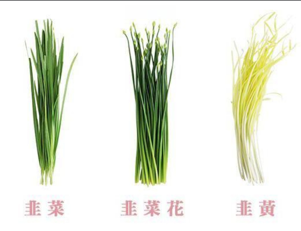 韭菜与韭菜花同根不同魂,一场关于味道与营养的绿色探索
