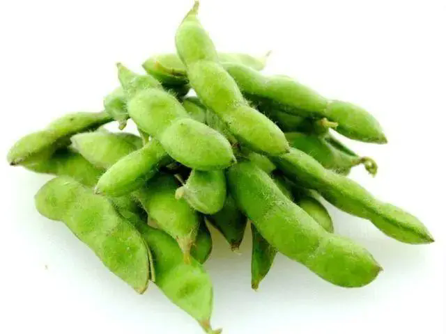 <b>毛豆嘌呤含量揭秘，营养价值大起底，植物蛋白与健康生活的完美契合！</b>