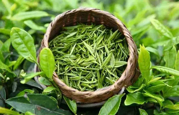 <b>茶色生香-茶叶种植种类大盘点，图片大全展现茶的色彩斑斓！</b>