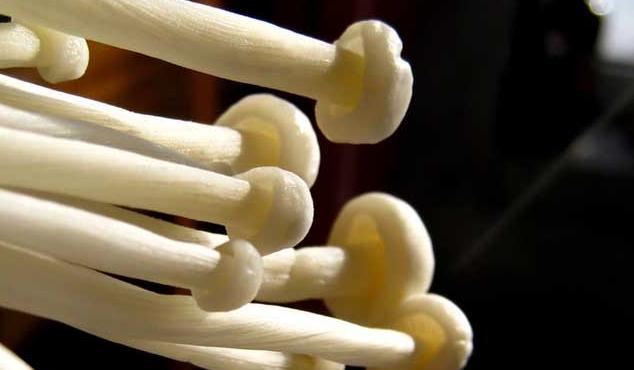 <strong>金针菇虽好，保护自己从了解开始！但这四大危害你不可不知！</strong>