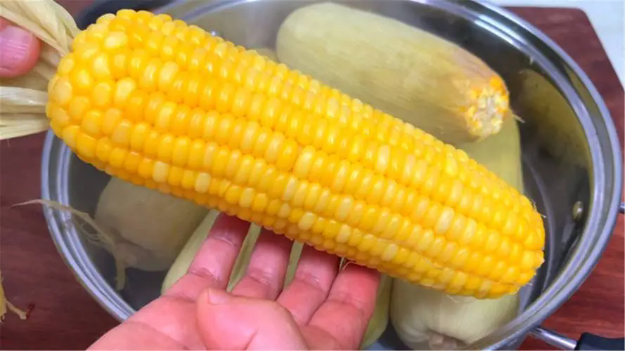 玉米煮多久才好吃?一篇文章解决你的所有疑惑!打造每一餐的完美体验!