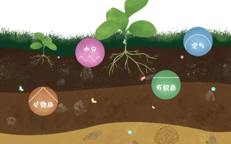 <strong>绿色宣言：解锁有机质土壤肥沃秘密，有机质含量MAX升级！</strong>