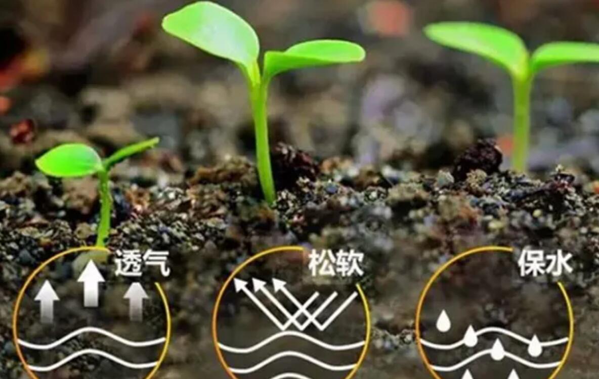 绿色宣言:解锁有机质土壤肥沃秘密,有机质含量MAX升级!
