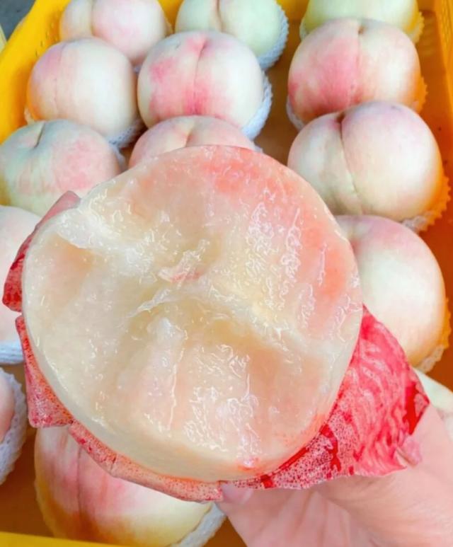 果中柔情:水蜜桃为何变得如此软嫩?一探成熟过程中的生物学奥秘