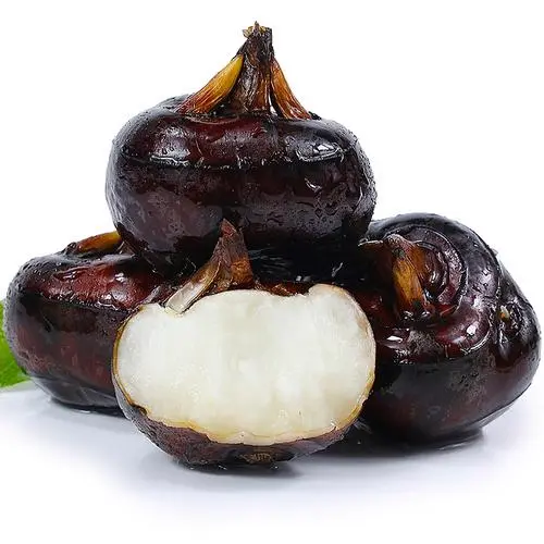 荸荠身份揭秘水果还是蔬菜?揭开其独特的分类之谜