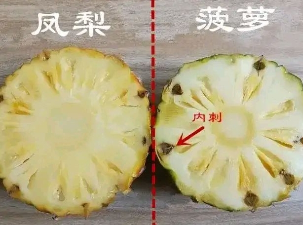 <b>菠萝和凤梨的隐藏区别，教你一眼分辨双胞胎的实用技巧</b>
