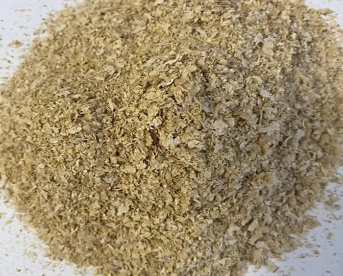 <strong>颠覆传统！高质量小麦饲料如何重塑肉鸡养殖行业</strong>