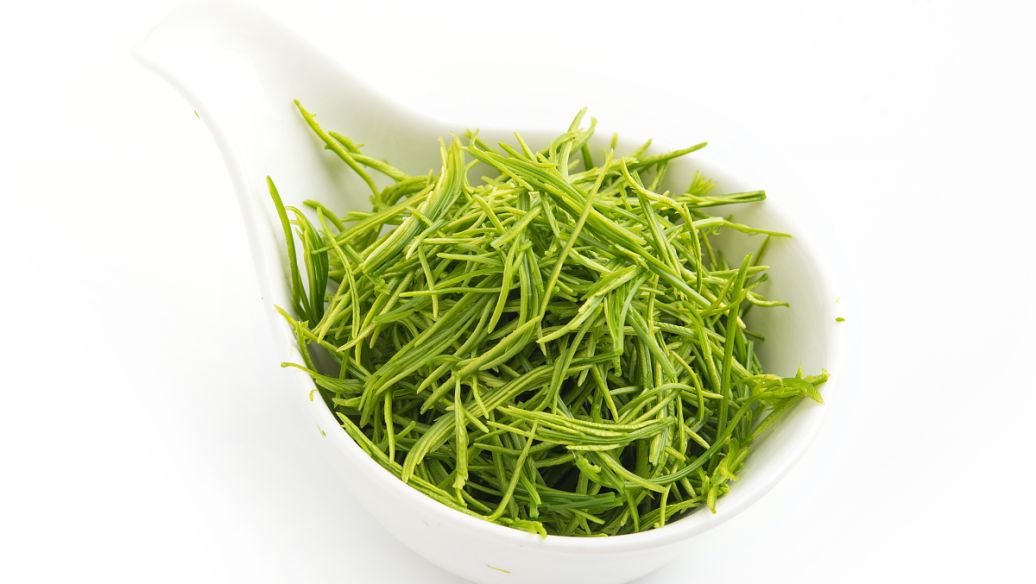 揭秘金银花的功效作用与主治功能:清热解毒、抗菌消炎的全能花卉药材!