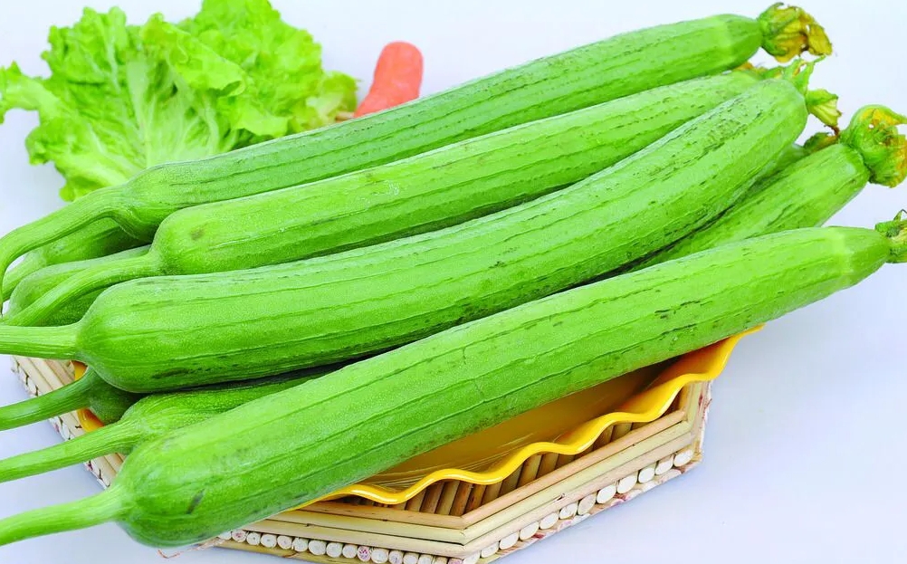 <b>丝瓜能否直接生吃？丝瓜生吃营养价值与健康风险评估</b>