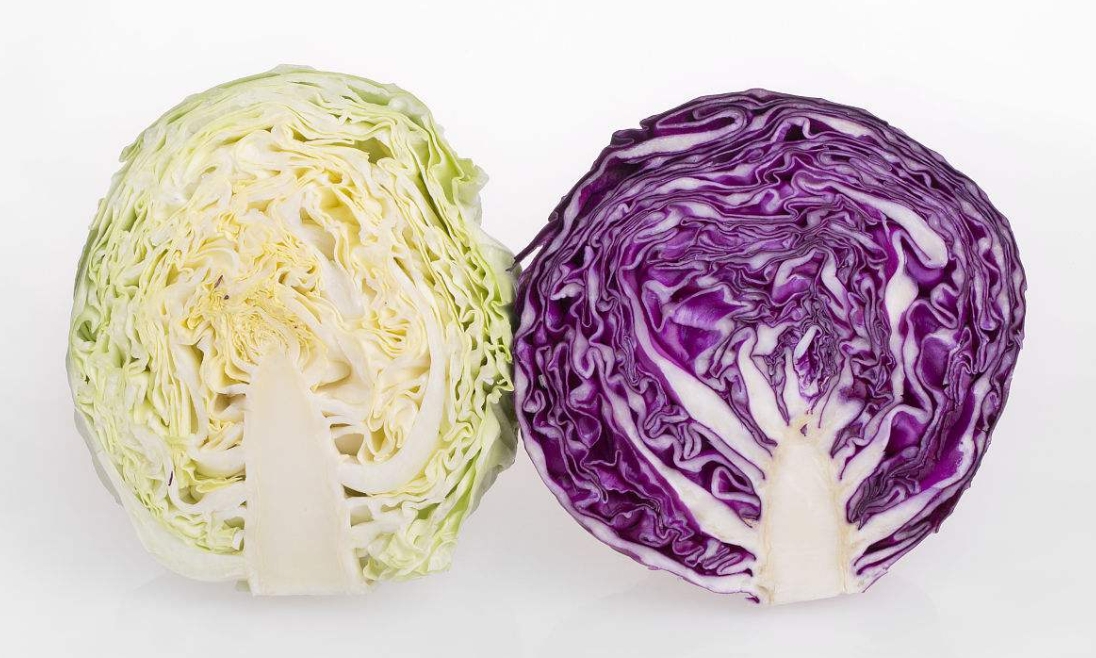 <b>卷心菜和甘蓝菜是一种菜吗科学解析，全面解析其形态特征与营养价值</b>