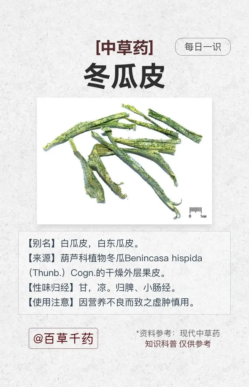 冬瓜皮的功效与作用不容小觑-清热解毒,利尿消肿的天然良方