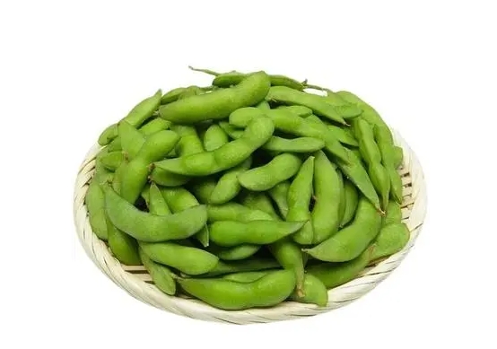 <b>毛豆的收货成熟季节故事，夏季餐桌上的绿色佳肴</b>