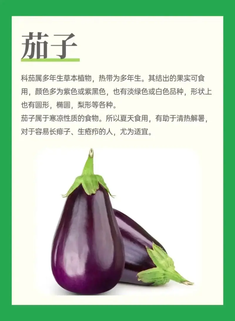 茄子的营养价值与功效密码:维生素宝库与抗癌的超级食物