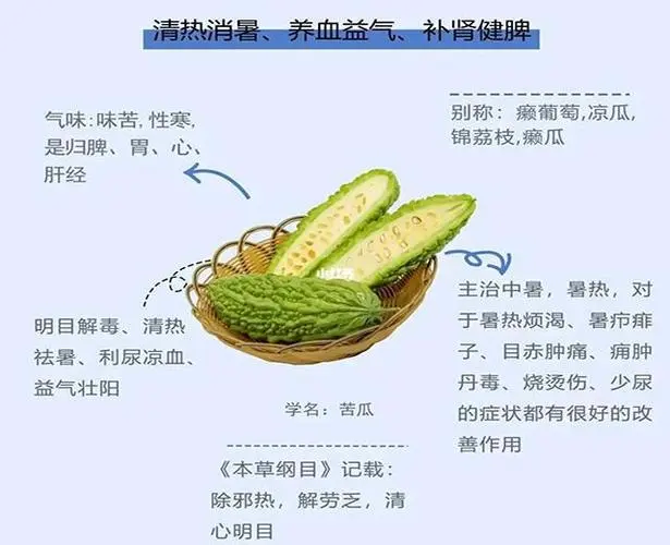 苦瓜功效与作用-不只是味道独特,更蕴含着丰富的药用价值与养生效果
