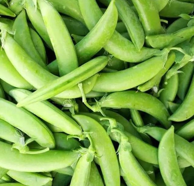 豌豆能不能生吃有毒吗?全面解析豌豆的食用风险与健康建议