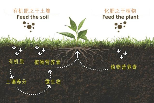 有机质肥料全解析:从动物粪便微生物到农作物秸秆,多元化补充土壤养分