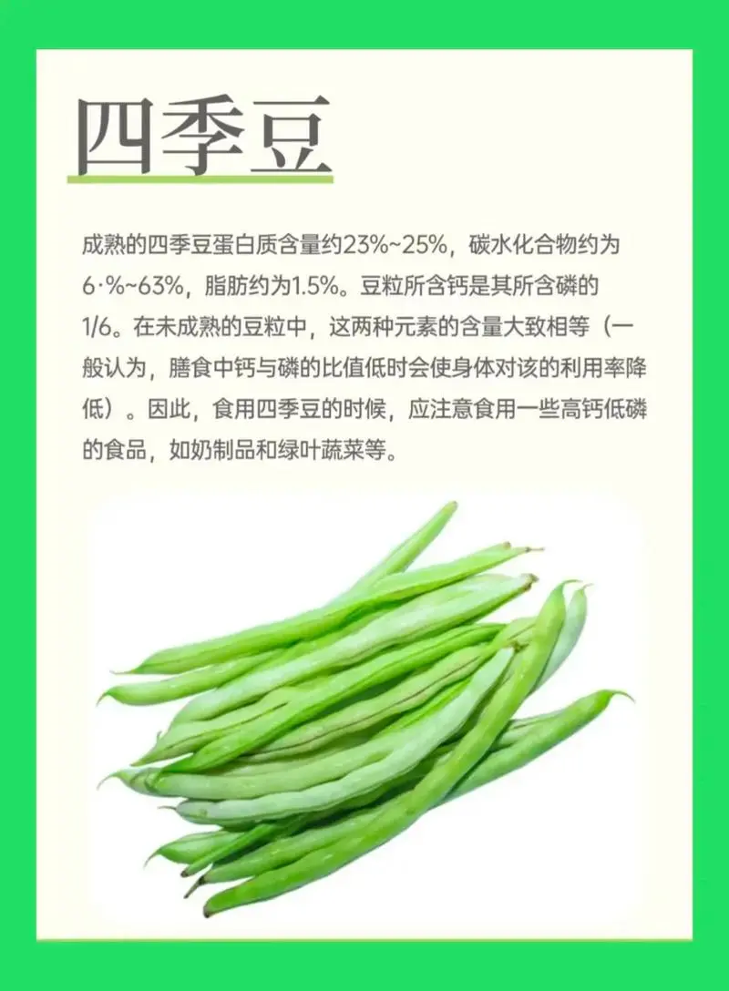 四季豆是一年四季都有的吗?探索其全年供应的种植与市场机制