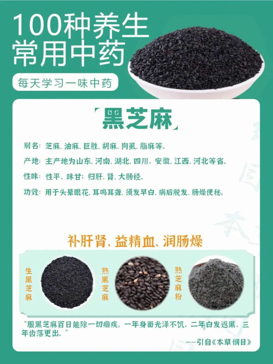 芝麻作用与功效全揭秘:从滋补养生到美容护肤,让你健康美丽两不误