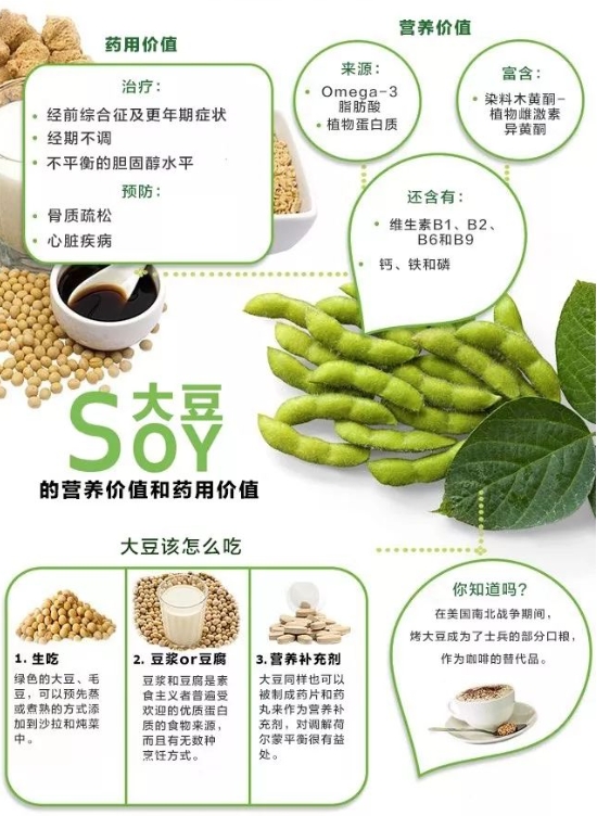 大豆功效全解:营养成分、健康益处与食用指南,打造完美健康膳食