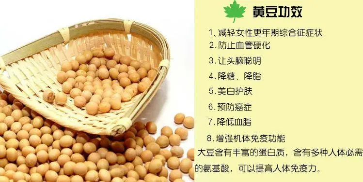 大豆功效全解:营养成分、健康益处与食用指南,打造完美健康膳食