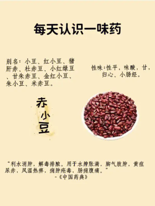 红豆的健康功效:从蛋白质到膳食纤维,全面解析其营养价值作用